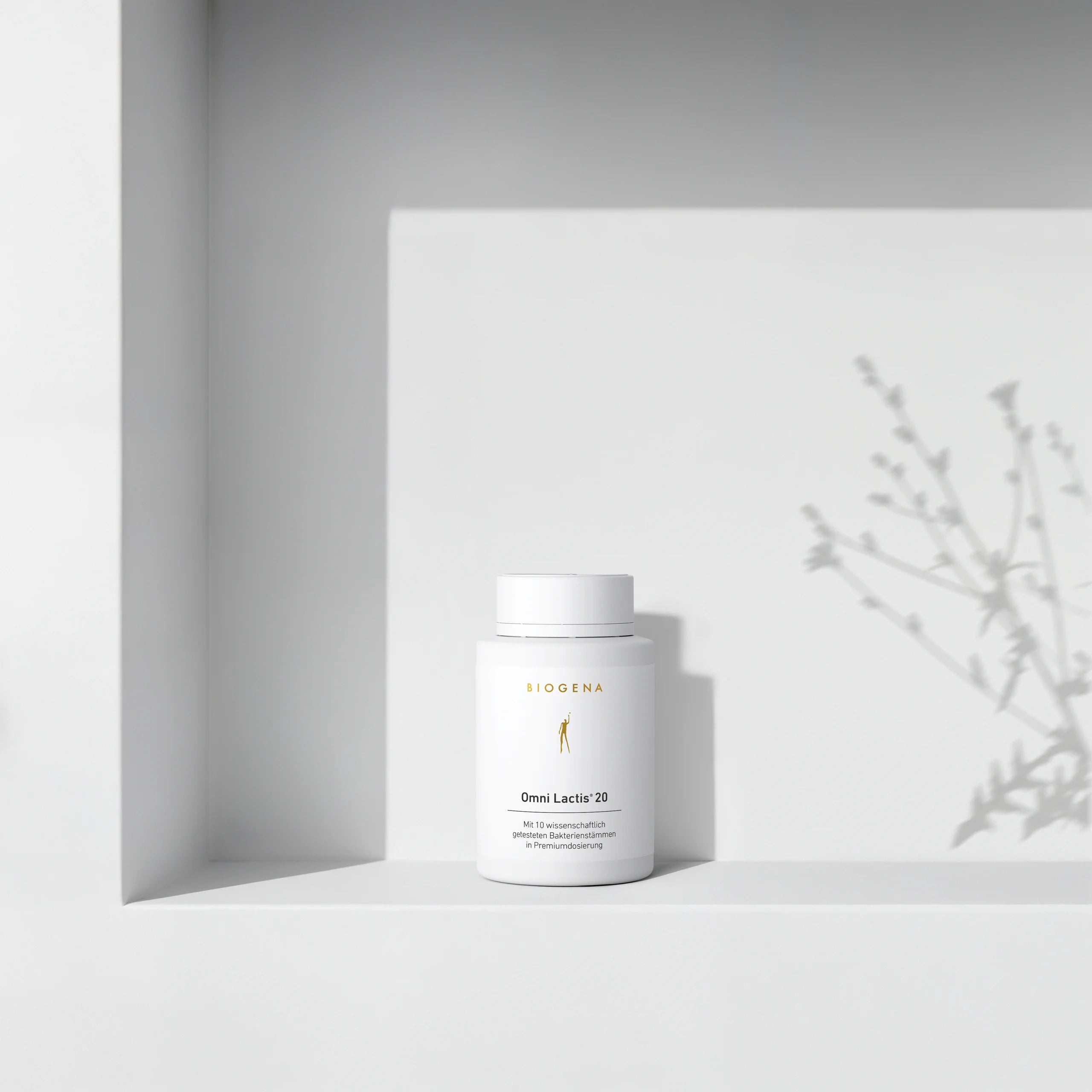 biogena_gold_omni_lactis_20_60Kps_mood-1773320526_3984d8dd-3ec7-4b5b-aa8e-65430ad29efc.webp