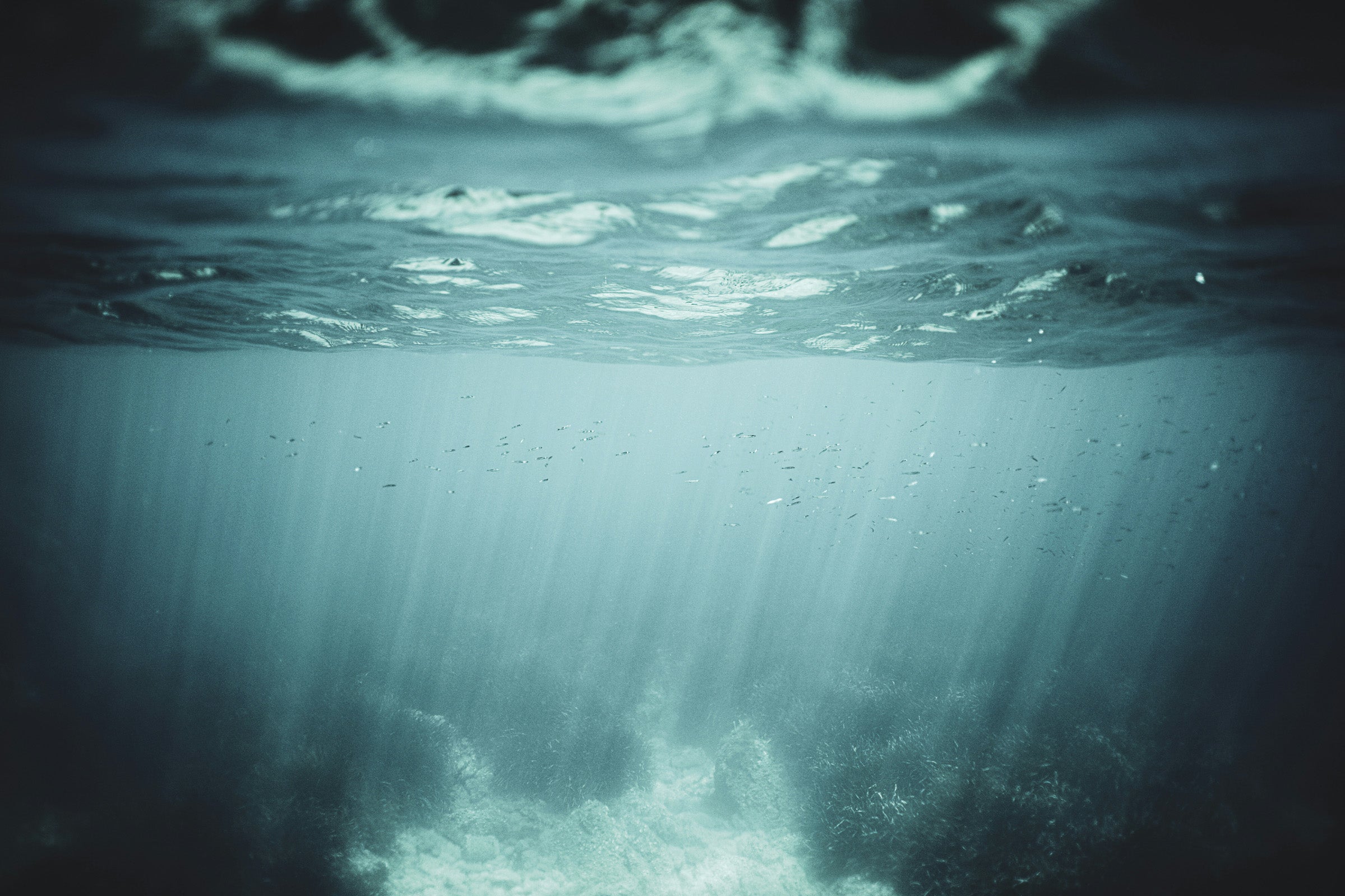 omega3-2.jpg